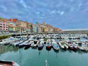 a bunch of boats are docked in a harbor at Utsa Eski -Piso con encanto en 1ª linea de puerto in Bermeo