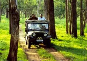 a group of people in a jeep driving down a dirt road at Aiswarya - The Jungle Home in Wayanad