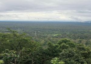 widok z szczytu wzgórza z drzewami w obiekcie Aiswarya - The Jungle Home w mieście Wayanad