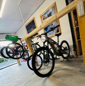Jazda na bicykli v okolí ubytovania DOLOMITI HOUSE 4