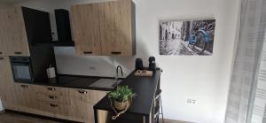 Billede fra billedgalleriet på City center apartment Stella i Nova Gradiška