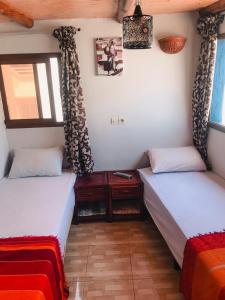 Ein Bett oder Betten in einem Zimmer der Unterkunft Tafoukt Surf Hostel Taghazout