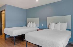 Duas camas num quarto com paredes azuis em Extended Stay America Select Suites - Indianapolis - Lawrence em Fishers