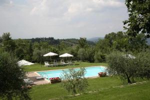 a swimming pool with chairs and umbrellas in a yard at Agriturismo San Silvestro in San Donato in Poggio