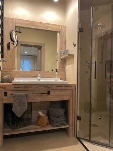a bathroom with a sink and a shower at Lark One in Schleibnitz