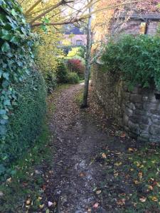 a stone wall and a tree on a path at Blue Shutters in Weymouth