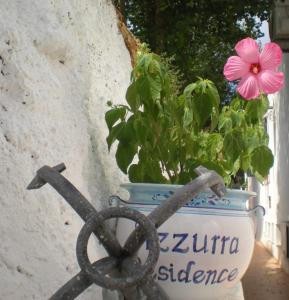A garden outside Villa Pina