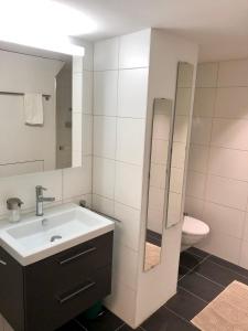 a bathroom with a sink and a toilet at Old Town Apartments - Self Check-In in Bern +17 photos