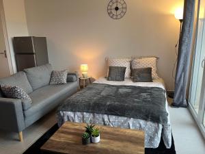 a living room with a bed and a couch at Calm in Tours - Appartement T2 in Tours