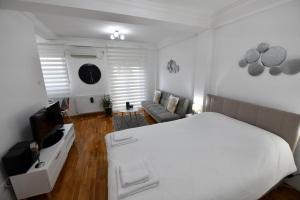 Televiisor ja/või meelelahutuskeskus majutusasutuses Apartman-studio “Suzana”