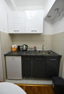 Köök või kööginurk majutusasutuses Apartman-studio “Suzana”
