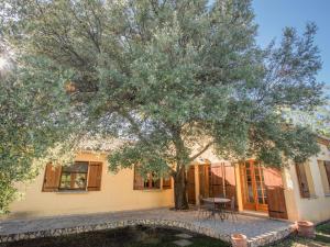 een grote boom voor een huis bij La grande Sorgues in Sorgues