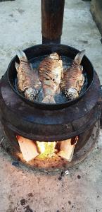 three dead birds are cooking in a fire grill at Casa Marcone in Partizanii