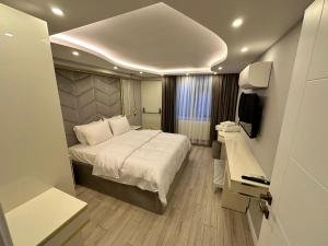 伊斯坦堡的住宿－ISTANBUL SUITE，酒店客房,配有床和电视