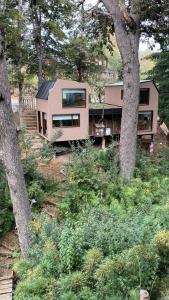 a house in the middle of a forest with trees at A Modo Mío in San Carlos de Bariloche