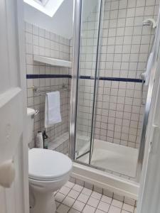 uma casa de banho com um chuveiro e um WC. em Cosy Irish Cottages RDS em Dublin