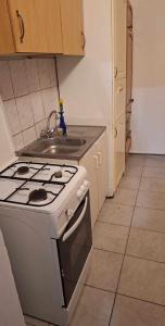 a kitchen with a stove and a sink at Pihenés a Malomtónál privát bérlemény in Tapolca