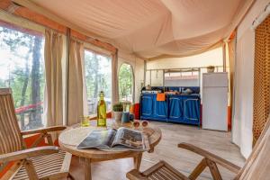 Kuchyň nebo kuchyňský kout v ubytování camping nature le Valenty mobil-home-Dordogne panoramique clim piscine