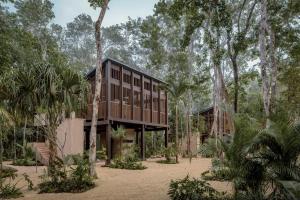 a house in the middle of a forest with trees at Boca de Agua Bacalar in Bacalar