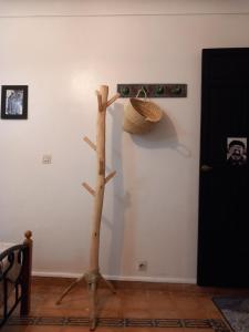 Φωτογραφία από το άλμπουμ του Riad Hostel JAD ZIAD στο Μαρακές