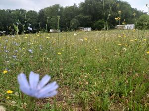 camping nature le Valenty mobil-home-Dordogne panoramique clim piscine外面的花园