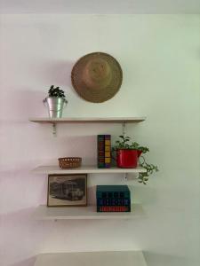 two shelves on a wall with plants and a picture at Muqui91 in Teresópolis