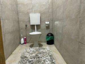 un bagno con un water e un tappeto a pelo lungo di Tamaniroom- a private 1bed a Tamale Altre 4 foto