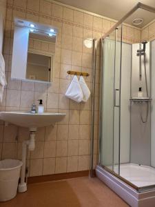 uma casa de banho com um chuveiro, um lavatório e um WC. em Fryksås Hotell & Gestgifveri em Fryksås