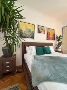 a bedroom with a bed and a potted plant at Stylish King Downtown in Podgorica