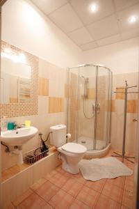 プラハにあるMiraculous Appartementのバスルーム(トイレ、シャワー、シンク付)