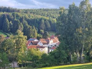 a small town in the middle of a forest at Superior - Ferienhaus am Engelsbach im Thüringer Wald in Engelsbach