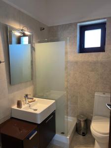 a bathroom with a sink and a toilet and a mirror at Mountain House Eptalofos in Eptalofos