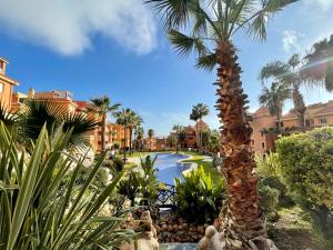 una palmera frente a una piscina en un complejo en Apartamento con vistas al mar en Reserva de Marbella, en Marbella