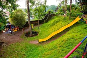 a playground with a slide on a grassy hill at Woodgreens Heritage Resorts in Kannur