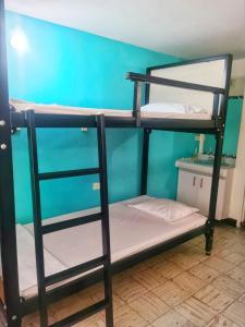 two bunk beds in a room with a blue wall at Roof Hostel in Cali