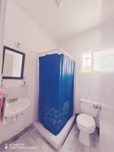 a bathroom with a toilet and a blue shower curtain at Hermosa casa a un paso del mar! in La Sabana