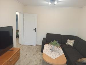 Televízia a/alebo spoločenská miestnosť v ubytovaní APARTAMENT CENTRUM Międzychód