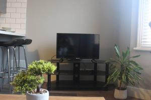 a television on a black stand with two potted plants at Brighton City Flat Perfect for long stays in Brighton & Hove