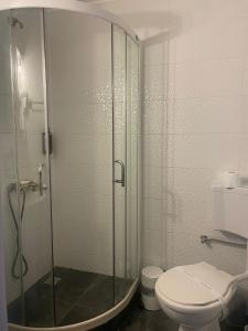 La salle de bains est pourvue d'une douche et de toilettes. dans l'établissement CASA BELLA, à Ocna-Mureşului