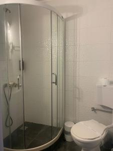 a bathroom with a shower and a toilet at CASA BELLA in Ocna-Mureşului +3 photos