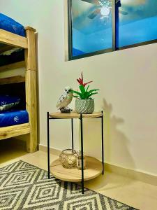 einen Tisch mit einer Topfpflanze auf einem Zimmer in der Unterkunft Apartamento Campestre cerca a Armenia y Parque del Cafe E306 a 5 minutos del Aeropuerto en La Tebaida in Armenia