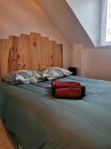 een groot bed met twee rode kussens erop bij Appartement Cosy proche gare et centre ville in Reims