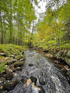 a stream of water with rocks in a forest at Sweet Retreat and Yurt Farm in New Ipswich