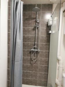 een douche met een douchegordijn in de badkamer bij Appartement Cosy proche gare et centre ville in Reims