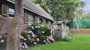 un arbusto de rosas rosas al lado de una casa en Our Happy Place, en Nature's Valley