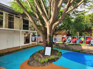 a tree sits in the middle of a blue floor at Wally World Inn in Comayagua