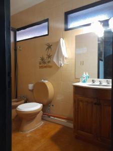 een badkamer met een toilet en een wastafel bij Departamento Brasil in Lunlunta