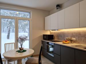 Η κουζίνα ή μικρή κουζίνα στο Miško Santorija