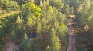 an overhead view of a forest with a building in the middle at Forestic Lietuva in Vilionys