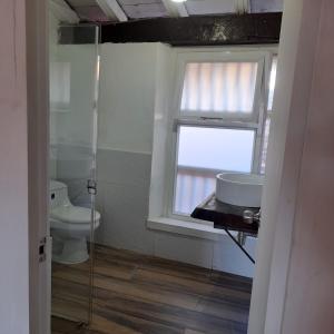 ein Bad mit einem WC, einem Waschbecken und einem Fenster in der Unterkunft EMMA HOTEL SAN DIEGO in Cartagena de Indias